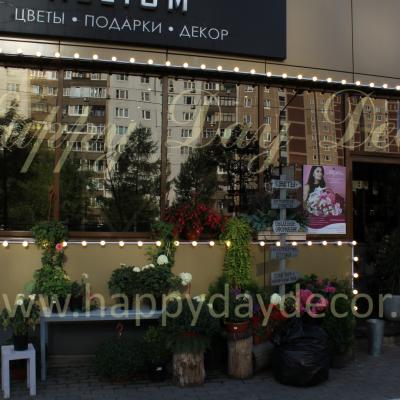 Подсветка фасада лампочками
