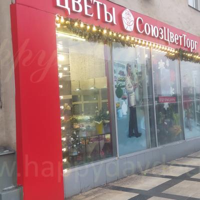 Подсветка из ламп для сети магазинов СоюзЦветТорг на Ленинградском шоссе