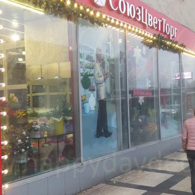 Подсветка из ламп для сети магазинов СоюзЦветТорг на Ленинградском шоссе